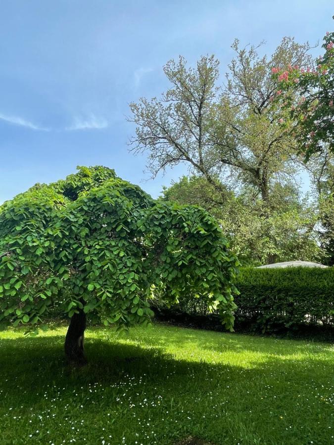 Villa Mura Gite Luxe Avec Piscine Et Spa Campagne Et Grand Air Nouvelle Aquitaine Correze Neuvic  Ngoại thất bức ảnh